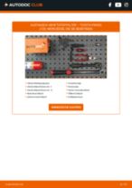 FORD S-MAX Bremssattel wechseln hinterachse und vorderachse Anleitung pdf