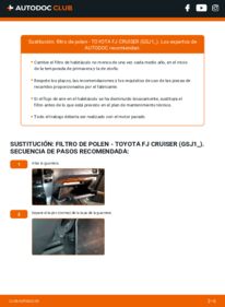 Cómo sustitución de Filtro de Habitáculo 4.0 4WD (GSJ15_) Toyota FJ Cruiser
