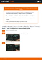 La guía profesional para realizar la sustitución de Filtro de Habitáculo en tu Toyota Sienna XL20 3.3 4WD (MCL25_)