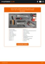 FIAT PUNTO (188) Ammortizzatori sostituzione: tutorial PDF passo-passo