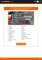 Handleiding PDF over onderhoud van R8 Coupe (422, 423) 4.2 FSI quattro