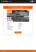 Trin-for-trin PDF-tutorial om skift af Citroen Nemo Van Bærekugle