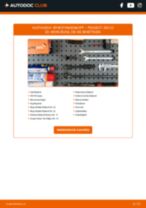 PEUGEOT 206 CC (2D) Spurstangenkopf tauschen: Handbuch pdf