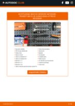 Come cambiare è regolare Kit riparazione pinza freno PEUGEOT 206: pdf tutorial