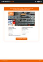 RIDEX 82B0015 per 206 CC (2D) | PDF istruzioni di sostituzione