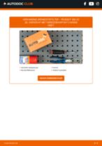 Stap-voor-stap PDF-handleidingen over het veranderen van PEUGEOT 206 CC (2D) Brandstoffilter