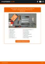 Tutorial paso a paso en PDF sobre el cambio de Amortiguadores en VW PASSAT Variant (3B6)