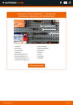 Reparatur- und Servicehandbuch für CITROËN AXEL
