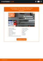 MOOG PE-ES-5724 per 106 II Hatchback (1A_, 1C_) | PDF istruzioni di sostituzione