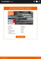 De professionele reparatiehandleiding voor Brandstoffilter-vervanging in je PEUGEOT 106 Van (1_) Elektrik