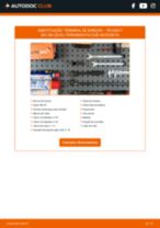 Como substituir Terminal da barra de direção PEUGEOT 206 SW (2E/K) - manual online