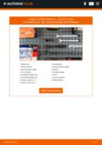 Tiešsaistes rokasgrāmata, kā pašam mainīt Stūres šķērsstiepņa uzgalis uz PEUGEOT 206+ (T3E)