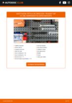 Manual de taller para 307 CC (3B) 2.0 16V en línea