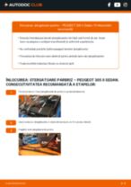 Manual de reparație 305 II Sedan 1984 - instrucțiuni pas cu pas și tutoriale