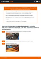 Cambio Escobillas delanteras y traseras CITROËN bricolaje - manual pdf en línea