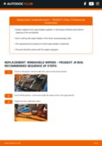 Step by step PDF-tutorial on Door Seal PEUGEOT 1007 (KM_) replacement