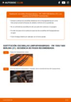 La guía profesional para realizar la sustitución de Cojinete de Rueda en tu VW 1500,1600 (31) 1.6