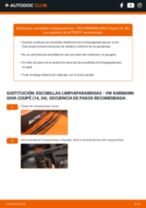 La guía profesional para realizar la sustitución de Escobillas de Limpiaparabrisas en tu VW Karmann Ghia Coupé 1500