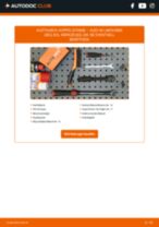 Schritt-für-Schritt-Anleitung im PDF-Format zum Blinker-Wechsel am AUDI Q4 SUV