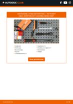 De professionele handleidingen voor Veerpootlager-vervanging in je Passat 3b2 1.9 TDI