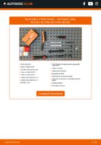 Manual de atelier pentru PASSAT (3B3) 2.5 TDI