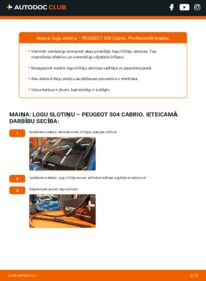 Kā veikt nomaiņu: 2.0 Peugeot 504 Cabrio Stikla tīrītāja slotiņa