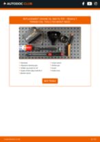 DIY manual on replacing LANCIA MUSA 2012 Indicator Bulb