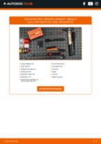 Αλλαγή Μπαράκι ζαμφόρ RENAULT CLIO: δωρεάν pdf