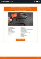 PDF manuale di sostituzione: Kit ammortizzatori RENAULT CLIO II Furgonato (SB0/1/2_) anteriori e posteriori