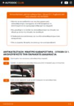 Μάκτρο καθαριστήρα: πώς μπορώ να το αλλάξω στο ZX Hatchback (N2) 1.4 μου; Οδηγοί βήμα-προς-βήμα
