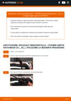 Sostituzione di Dischi Freno su Citroen Xantia X1 1.8 i: la guida professionale