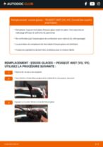 Le guide professionnel de remplacement pour Filtre à Huile sur votre Peugeot 4007 SUV 4x4 2.2 HDi