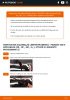 PDF manual sobre mantenimiento 208 II Hatchback (UB_, UP_, UW_, UJ_) 1.5 BlueHDI 130