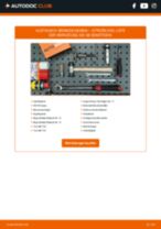 CITROËN DS3 Reparaturhandbücher für professionelle Kfz-Mechatroniker und autobegeisterte Hobbyschrauber