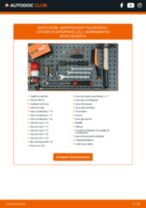 La guía profesional para realizar la sustitución de Amortiguadores en tu Citroen C2 Enterprise 1.4 HDi