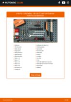 DIY-manual för byte av Stötdämpare i PEUGEOT 1007