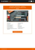 Instalare Ulei hidraulica centrala CITROËN cu propriile mâini - online instrucțiuni pdf