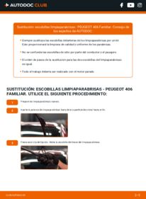 Cómo sustitución de Escobillas de Limpiaparabrisas 2.0 HDI 110 Peugeot 406 Familiar