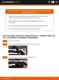 Sostituzione di Tergicristalli Peugeot 4007 SUV 4x4 2.2 HDi