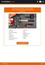 De professionele handleidingen voor Stabilisatorstang-vervanging in je Citroen Xsara Picasso 1.6 HDi