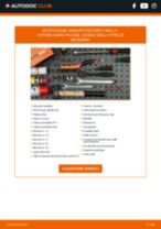 PEUGEOT Landtrek Pickup Kit Cinghie Poly-V sostituzione: tutorial PDF passo-passo