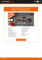 Reparaturanleitung Partner Origin Combispace (G_) 1.6 16V kostenlos