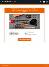 Cum să efectuați înlocuirea: Filtru ulei CITROËN XM Break (Y3) 2.1 TD 12V