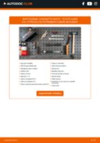 Come cambiare Kit cinghia servizi Citroen Berlingo mk2 - manuale online