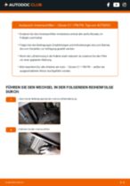 DACIA 1100 Montagesatz Abgasanlage auswechseln: Tutorial pdf