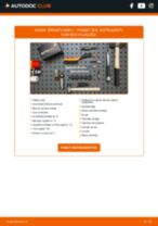 Tiešsaistes rokasgrāmata, kā pašam mainīt Diski uz VW PASSAT Variant (3C5)