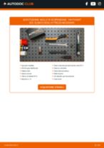 Cambio Batteria Start-Stop MINI COUNTRYMAN: guida pdf
