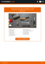 Cambio Bomba de agua + kit de correa de distribución SMART bricolaje - manual pdf en línea