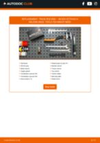 Octavia IV Saloon (NX3) 2.0 TSI RS manual pdf free download