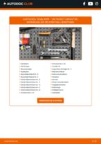 VW PASSAT Variant (3C5) Domlager und Wälzlager austauschen: Online-Handbuch zum Selbstwechsel